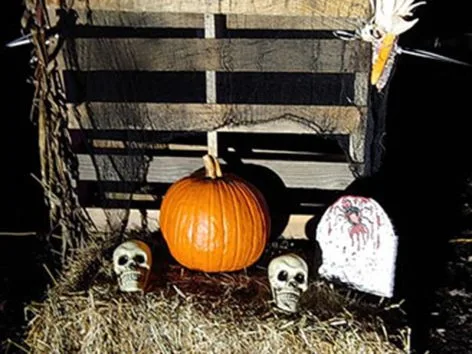 hallow6-6x8-150