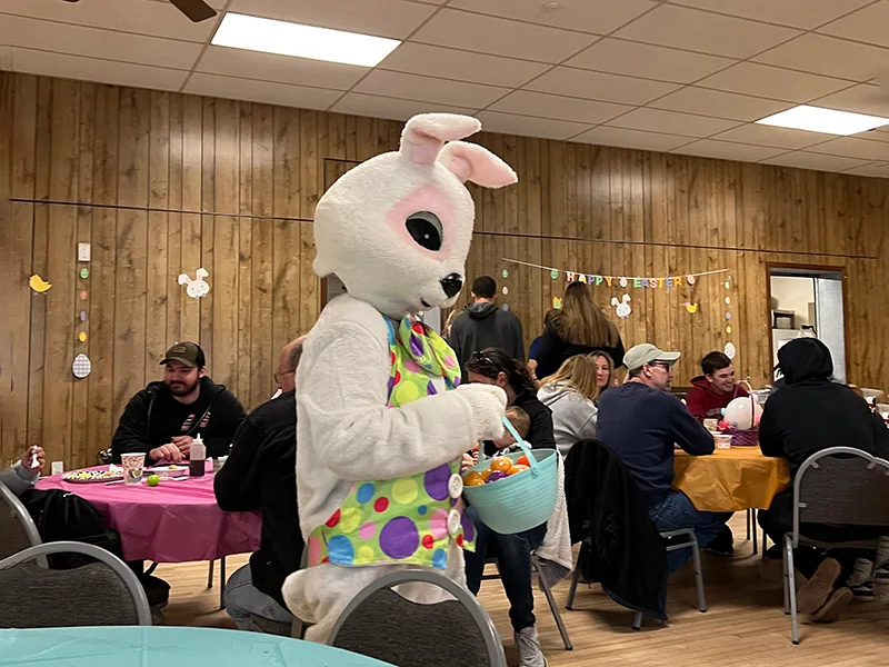 bunny visiing